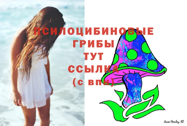 дурь Абинск