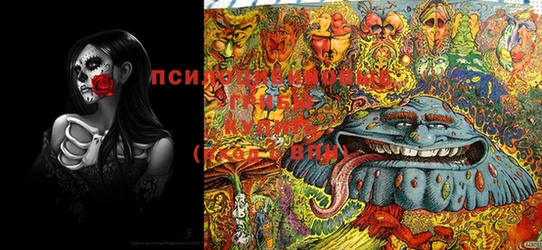 MDMA Россошь