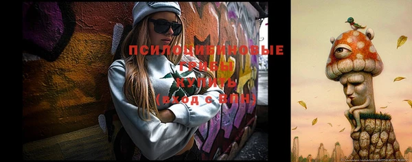 шишки Абдулино